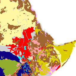 dominant_soil_constraints_africa